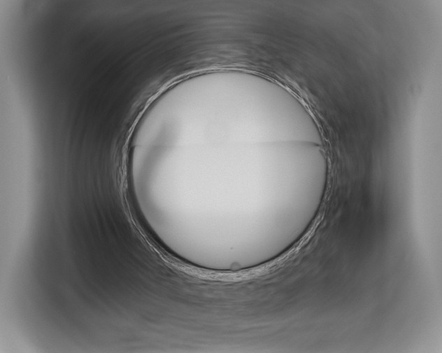 X0000113080002200908280956