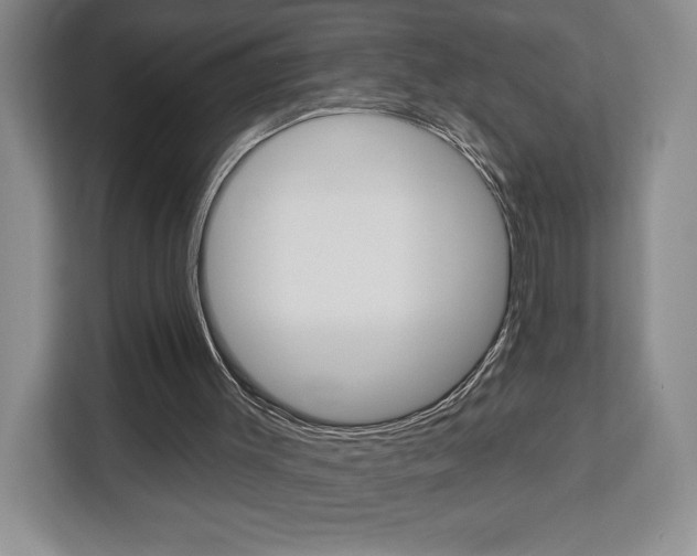 X0000113080003200908280956