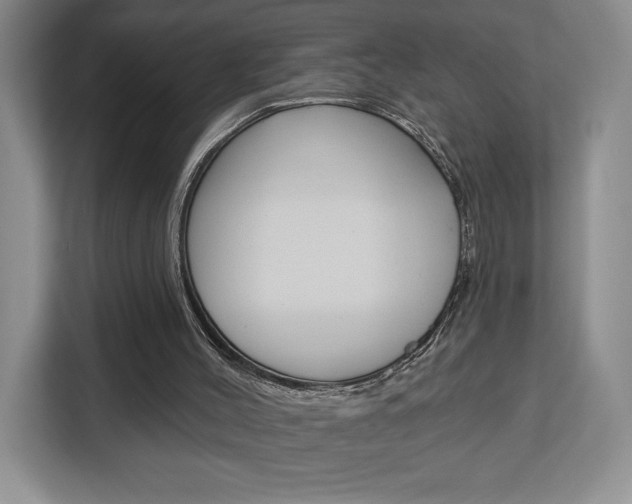 X0000113080004200908280956