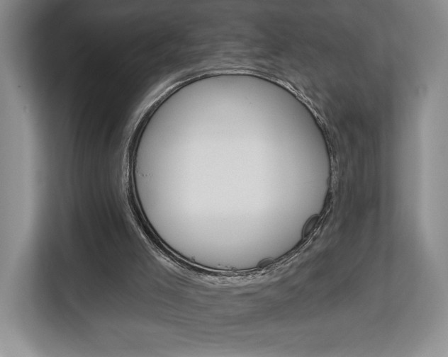 X0000113080005200908280956