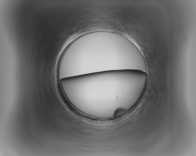 X0000113080008200908280956