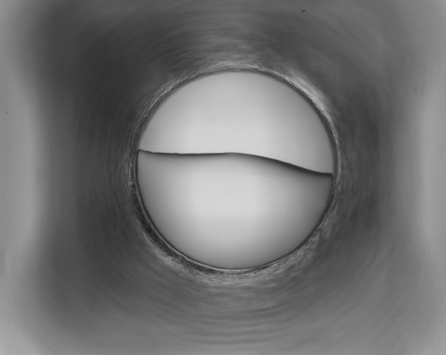 X0000113080009200908280956