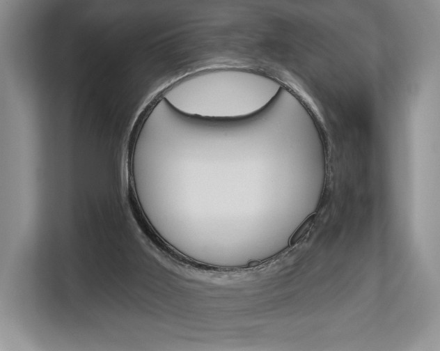 X0000113080011200908280956