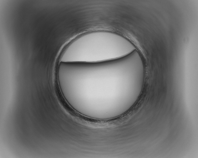 X0000113080012200908280956