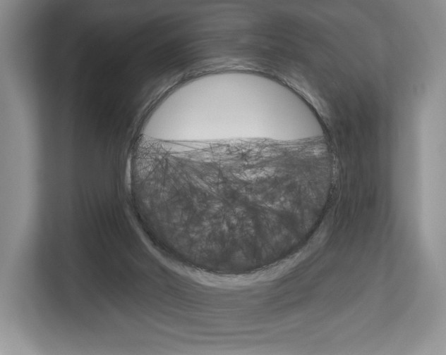 X0000113080014200908280956