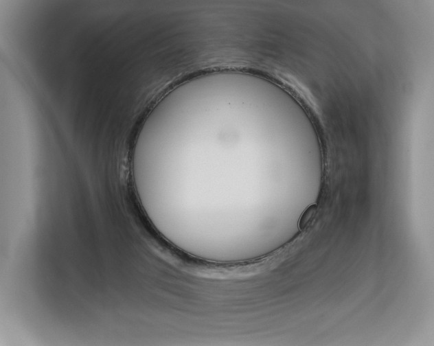 X0000113080017200908280956