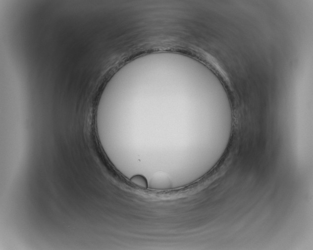 X0000113080018200908280956