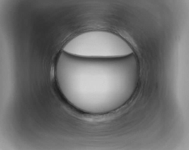 X0000113080021200908280956