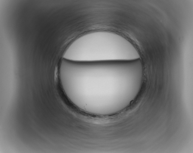 X0000113080024200908280956