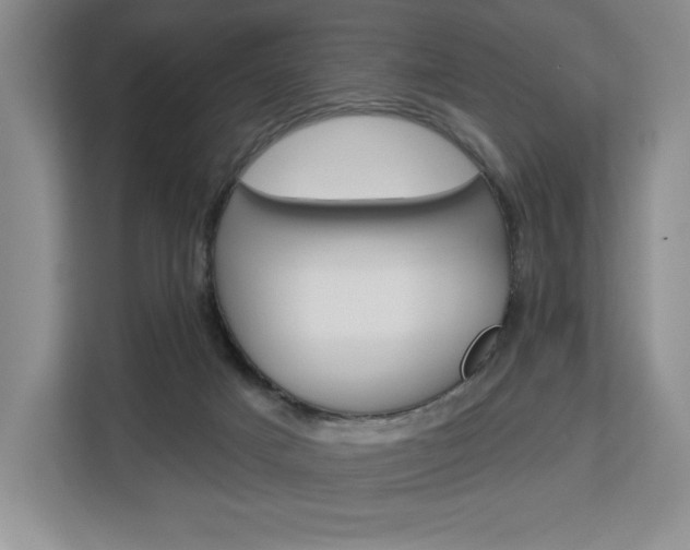 X0000113080025200908280956