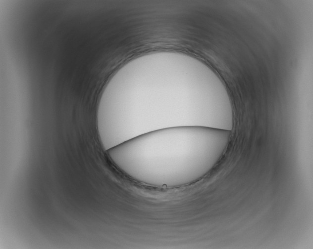 X0000113080028200908280956