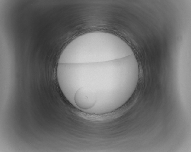 X0000113080030200908280956