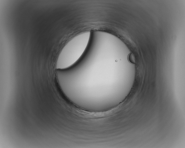 X0000113080031200908280956