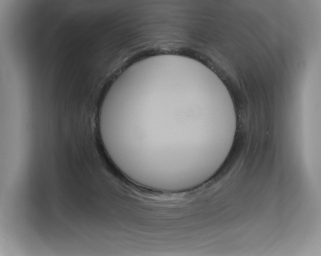 X0000113080032200908280956