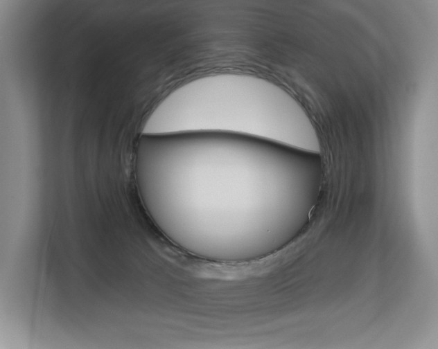 X0000113080033200908280956