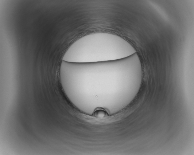X0000113080034200908280956