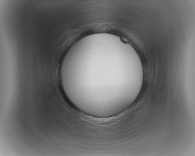 X0000113080035200908280956