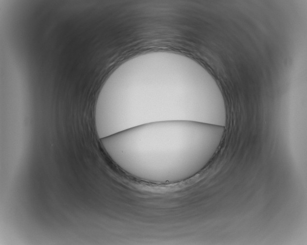 X0000113080036200908280956