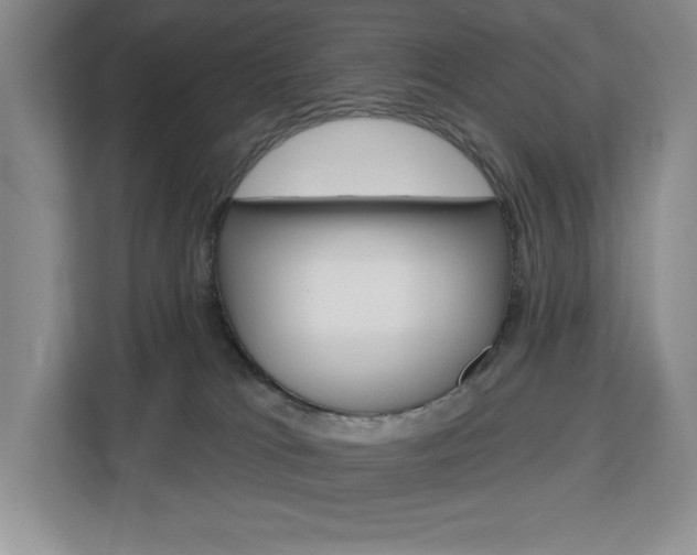 X0000113080037200908280956