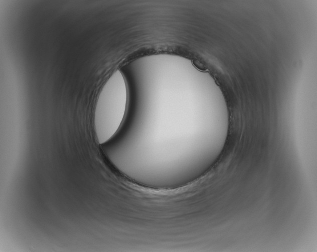 X0000113080039200908280956