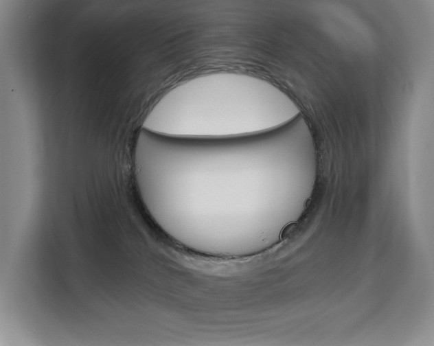 X0000113080040200908280956