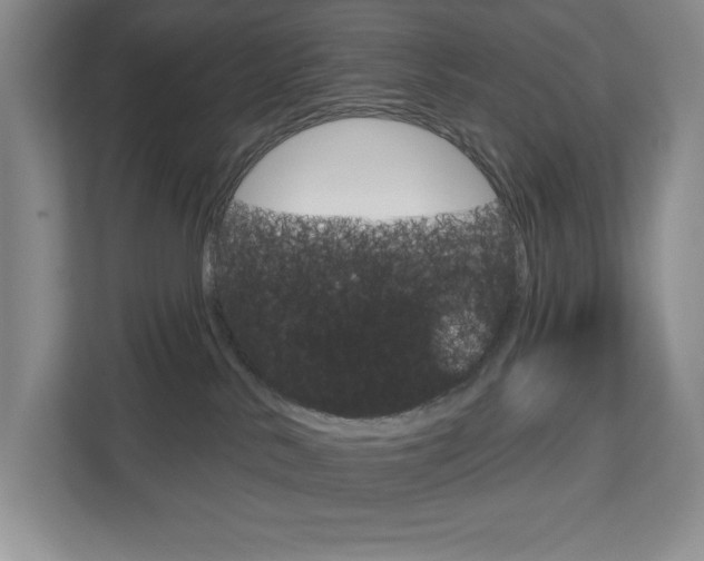 X0000113080042200908280956