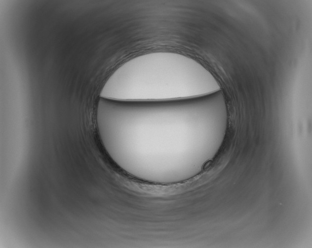 X0000113080044200908280956