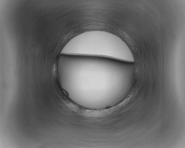 X0000113080045200908280956