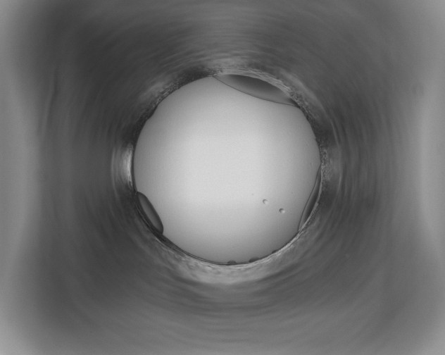 X0000113080047200908280956