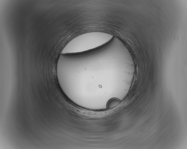 X0000113080048200908280956
