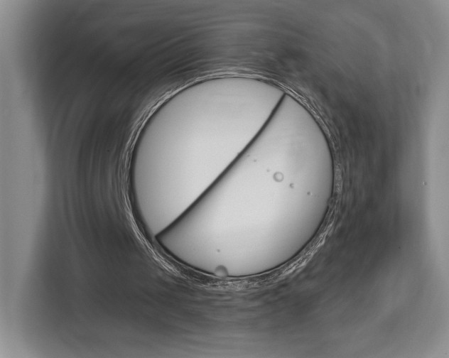 X0000113080049200908280955