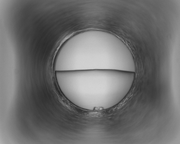 X0000113080050200908280955