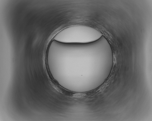 X0000113080051200908280955