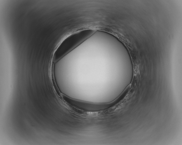 X0000113080052200908280955