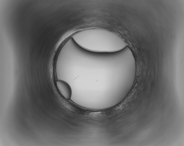 X0000113080054200908280955