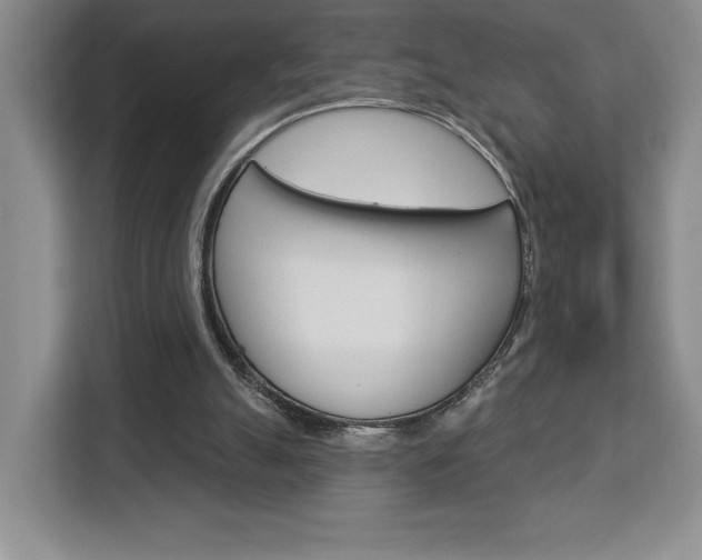 X0000113080055200908280955