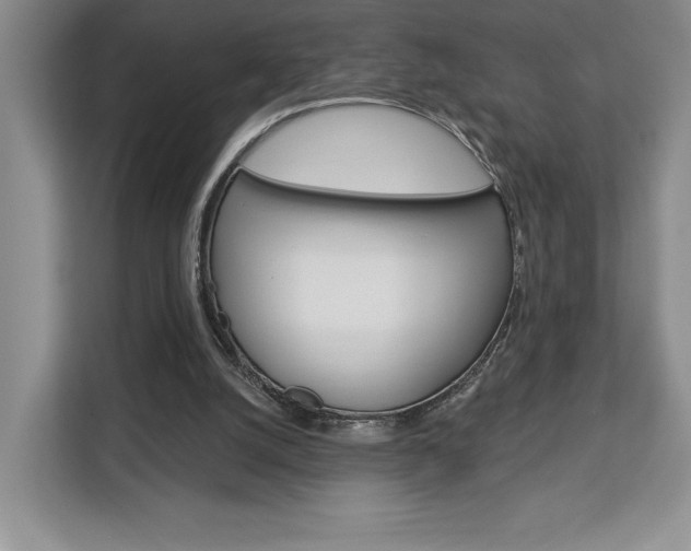 X0000113080056200908280955