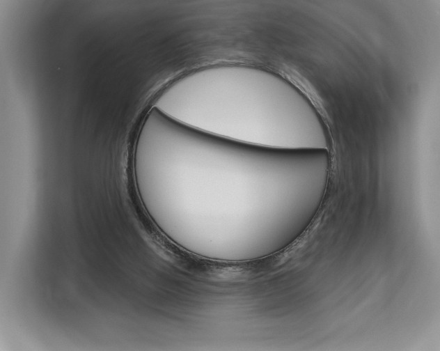 X0000113080058200908280955