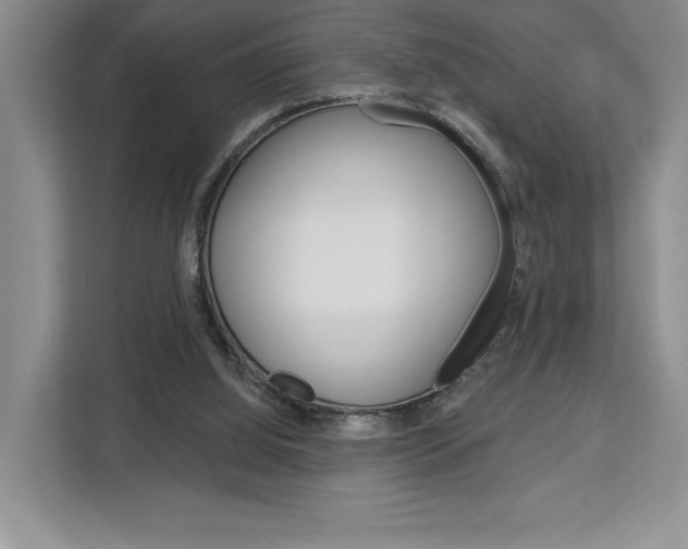 X0000113080060200908280955