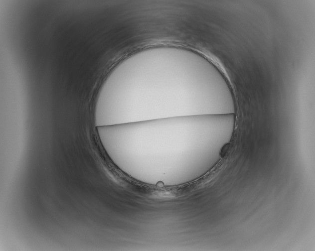 X0000113080061200908280955