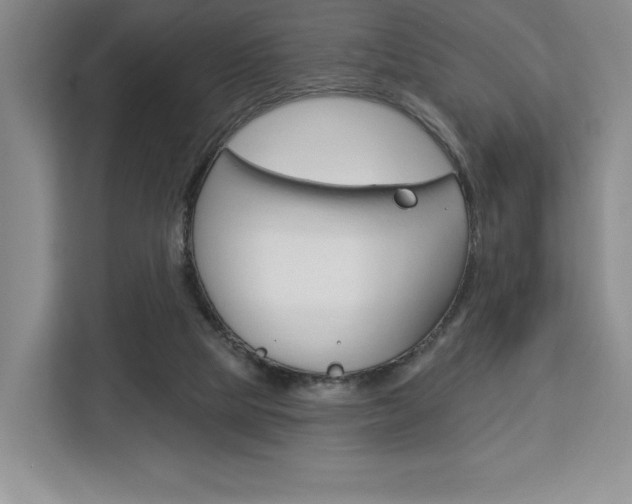 X0000113080065200908280955
