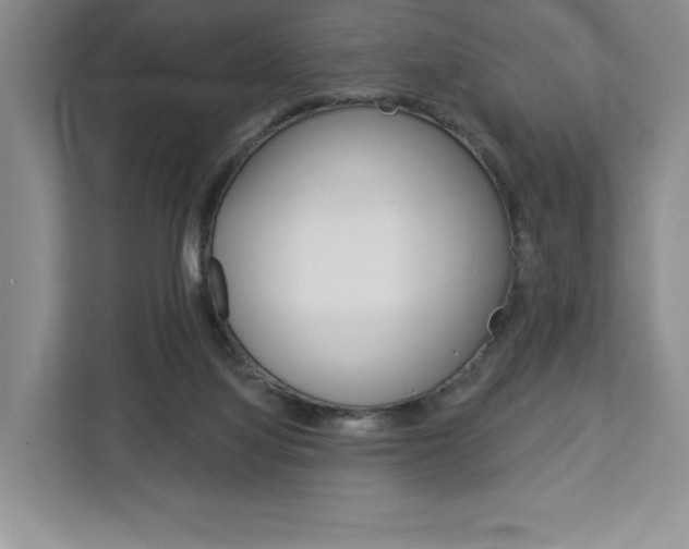 X0000113080068200908280955