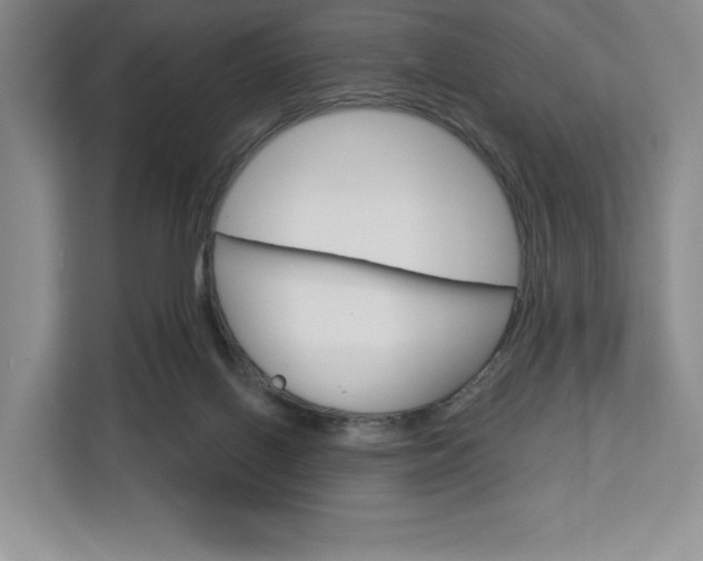 X0000113080070200908280955
