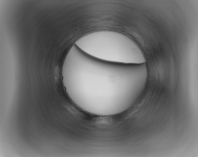 X0000113080077200908280956