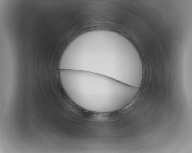 X0000113080078200908280956