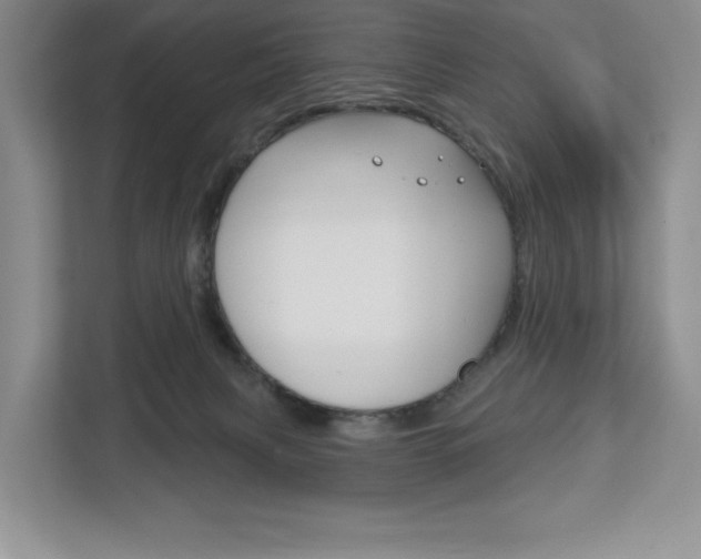 X0000113080079200908280956