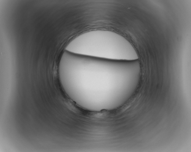 X0000113080081200908280956