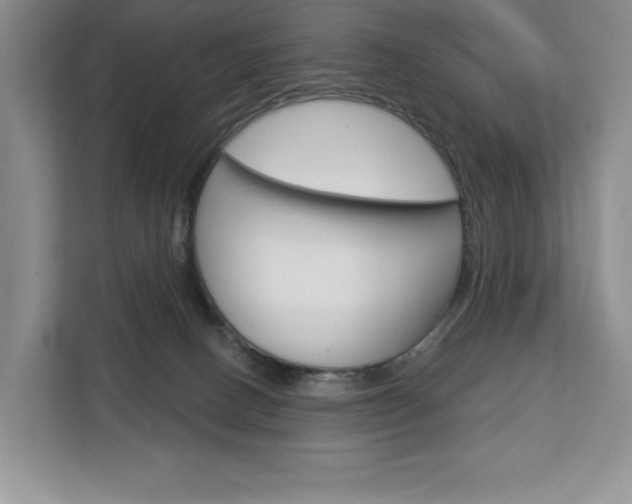 X0000113080082200908280956