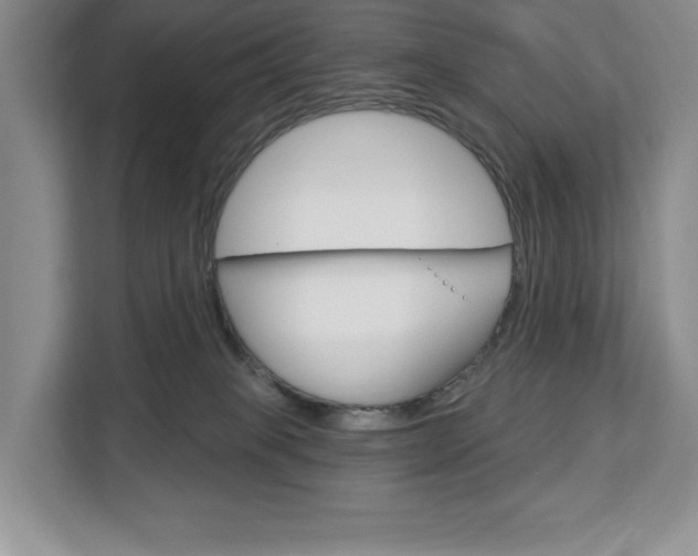 X0000113080085200908280956