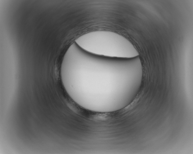 X0000113080086200908280956